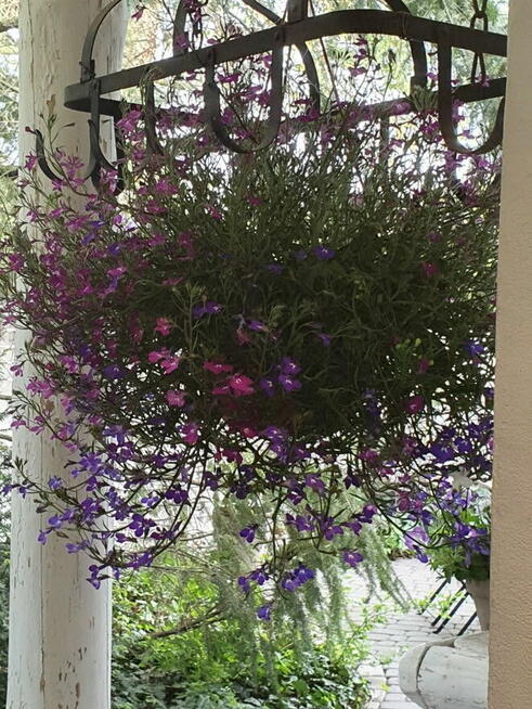 sprzedam prawo do uzytkowania atrakcyjnej działki ROD Poznań