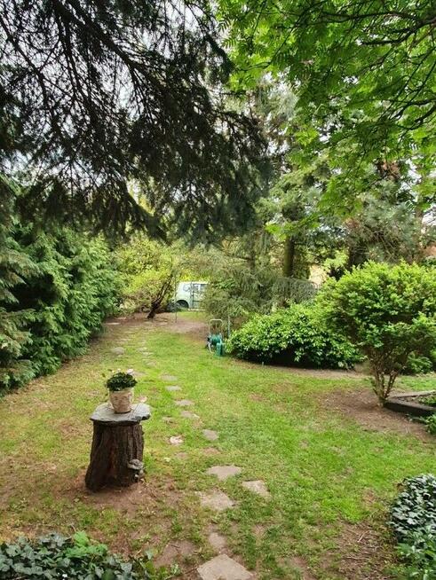 sprzedam prawo do uzytkowania atrakcyjnej działki ROD Poznań