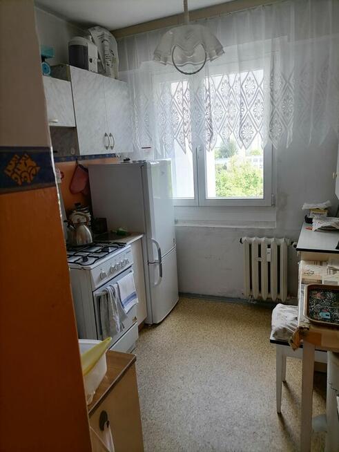 Mieszkanie bez pośredników