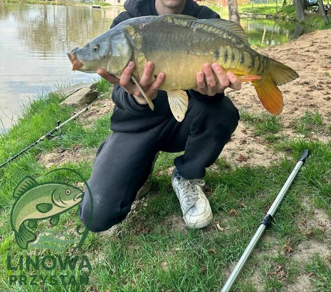 Linowa Przystań Wójcin Staw & Pole Biwakowe