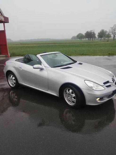 Mercedes SLK na sprzedaż