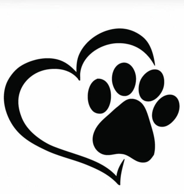 Ubezpieczenie psa - my zapłacimy za jego leczenie