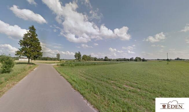 Działka rolno-budowlana Trzebieszów-Kolonia gm. Trzebieszów