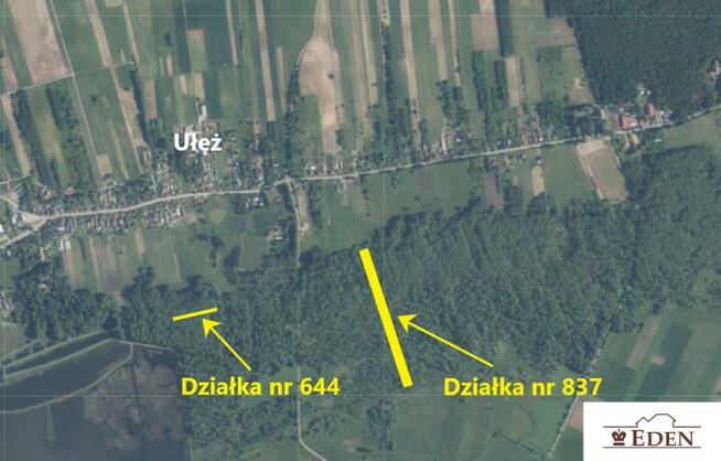 Działka leśna Ułęż