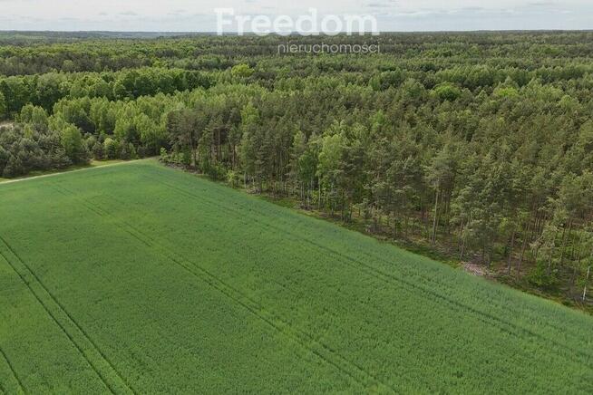 Działka z WZ na skraju lasu, blisko autostrady A2