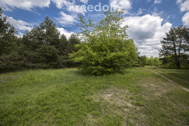 Rudnik nad Sanem, Podkarpackie, ul. Rzeszowska