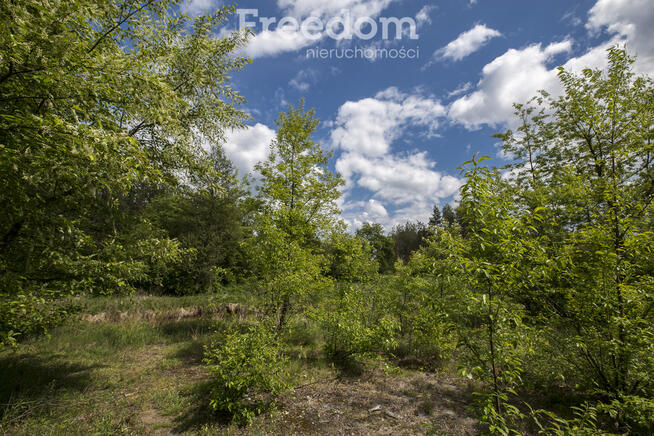 Rudnik nad Sanem, Podkarpackie, ul. Rzeszowska