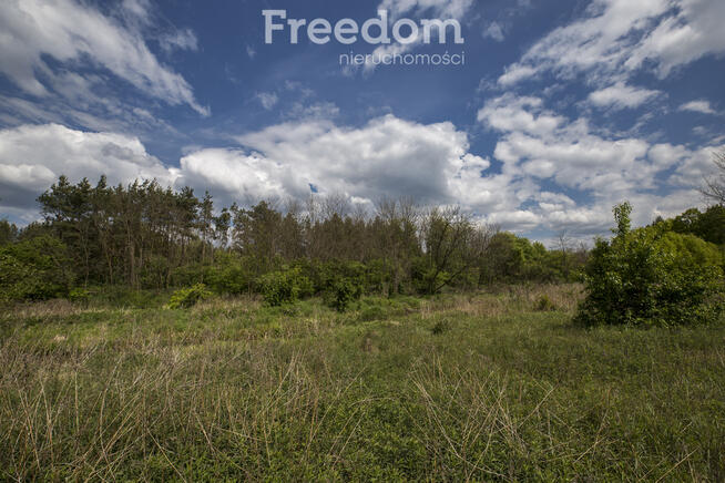 Rudnik nad Sanem, Podkarpackie, ul. Rzeszowska