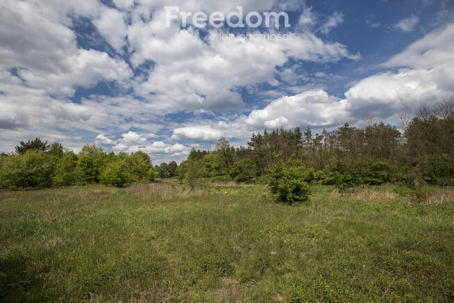 Rudnik nad Sanem, Podkarpackie, ul. Rzeszowska