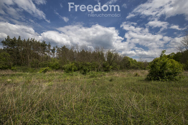 Rudnik nad Sanem, Podkarpackie, ul. Rzeszowska