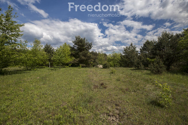 Rudnik nad Sanem, Podkarpackie, ul. Rzeszowska