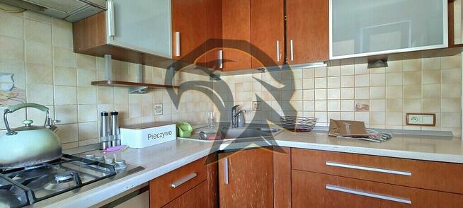 Masz kolana? To czytaj dalej