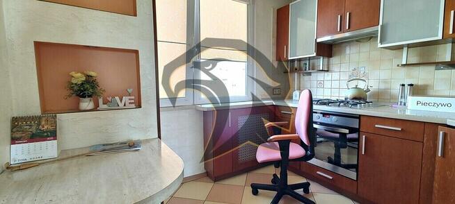 Masz kolana? To czytaj dalej