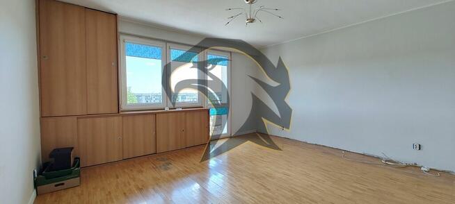 Masz kolana? To czytaj dalej