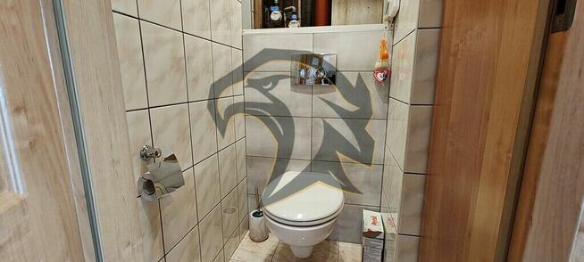 Masz kolana? To czytaj dalej