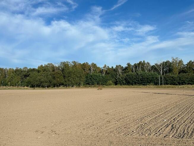 Działka budowlana Biskupice gm. Pobiedziska,