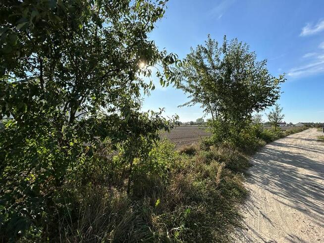 Działka budowlana Biskupice gm. Pobiedziska,