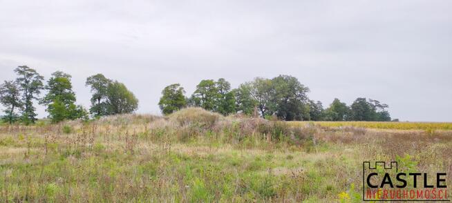Działka budowlana Chomęcice gm. Komorniki,