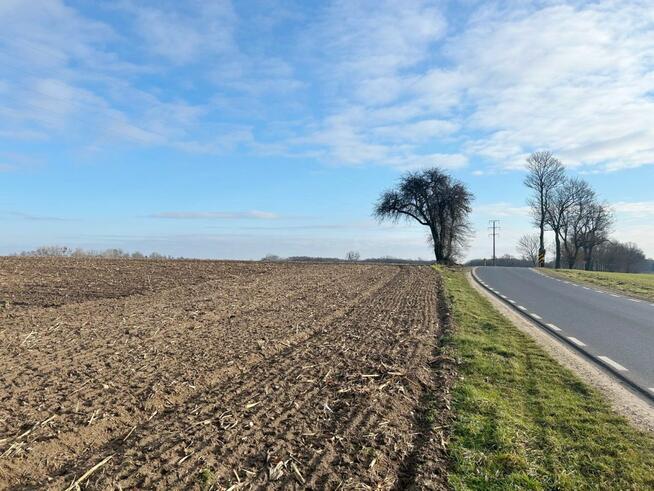 Działka rolna Lusówko gm. Tarnowo Podgórne,