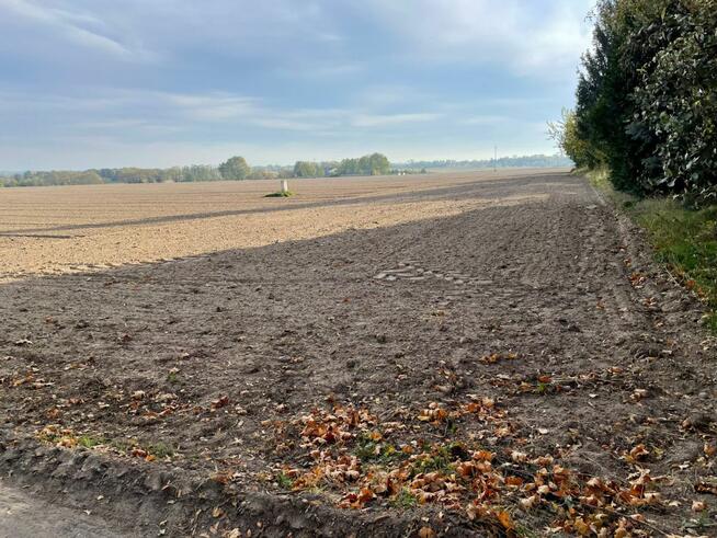 Działka budowlana Promienko gm. Pobiedziska,