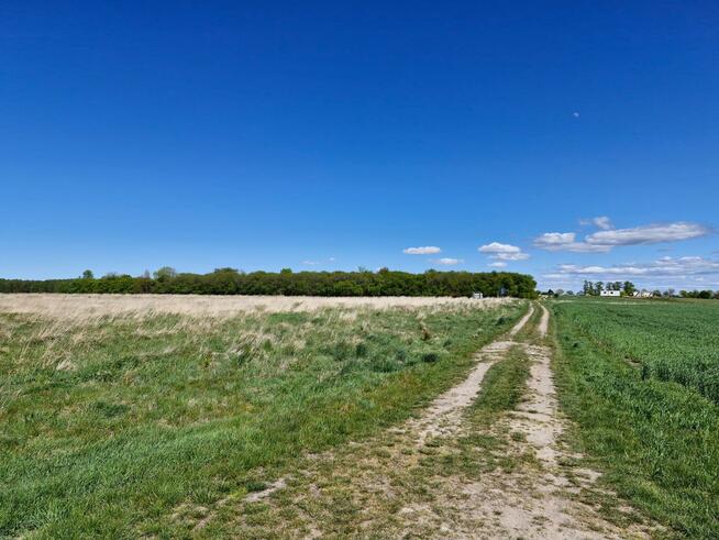Działka budowlana Koszalin, Julków Jamneńskich
