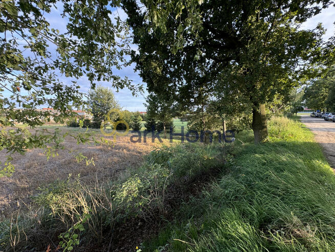 Działka inwestycyjna Dębno Polskie gm. Rawicz,