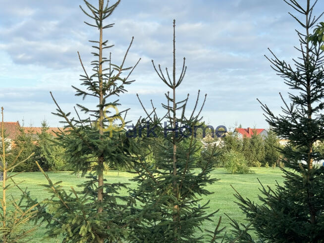 Działka inwestycyjna Dębno Polskie gm. Rawicz,