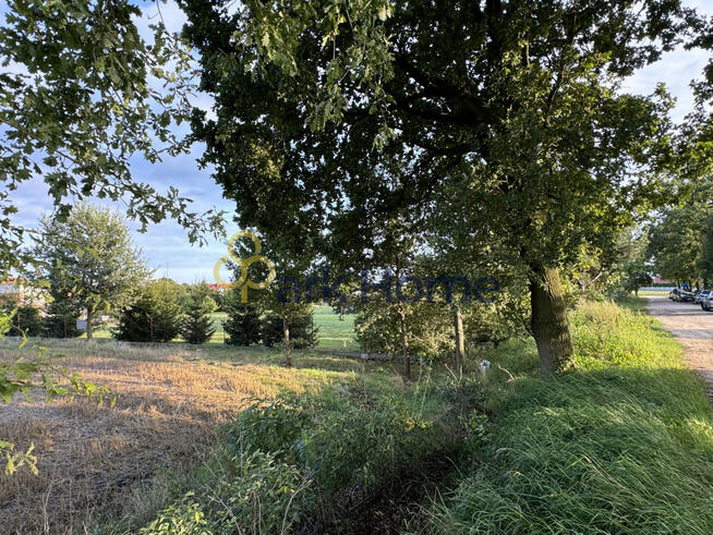 Działka inwestycyjna Dębno Polskie gm. Rawicz,