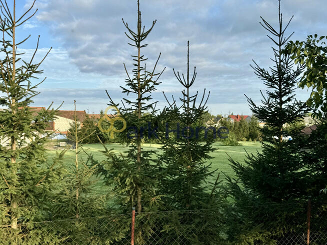 Działka inwestycyjna Dębno Polskie gm. Rawicz,