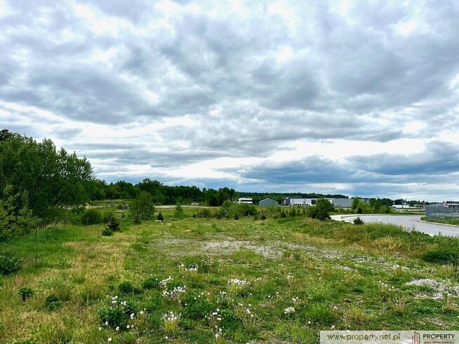 Działka inwestycyjna, 2,88 ha, Straszęcin, Żyraków