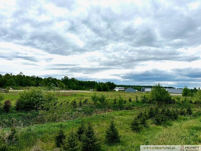 Działka inwestycyjna, 2,88 ha, Straszęcin, Żyraków