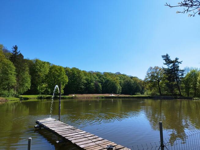 Linowa Przystań Wójcin Staw & Pole Biwakowe
