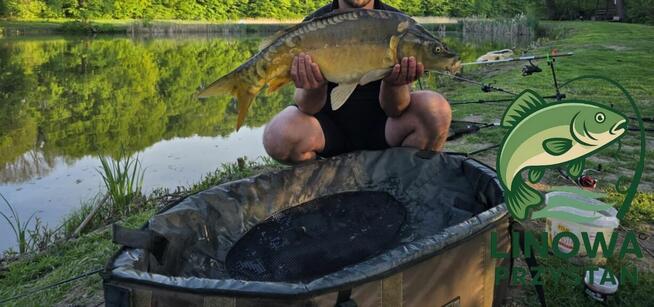 Linowa Przystań Wójcin Staw & Pole Biwakowe