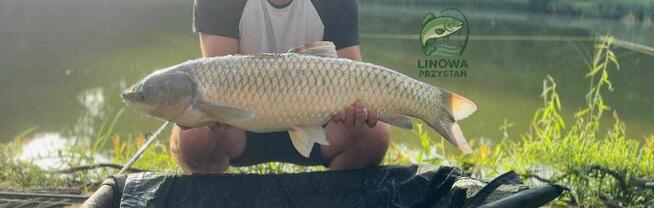 Linowa Przystań Wójcin Staw & Pole Biwakowe