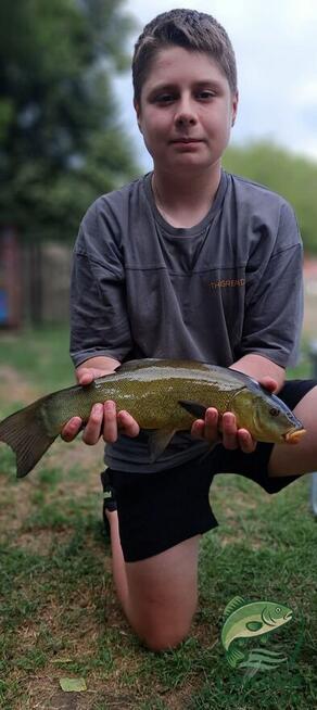 Linowa Przystań Wójcin Staw & Pole Biwakowe