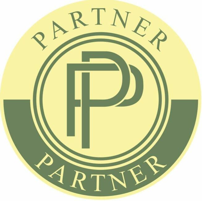 Profesjonalna Księgowa