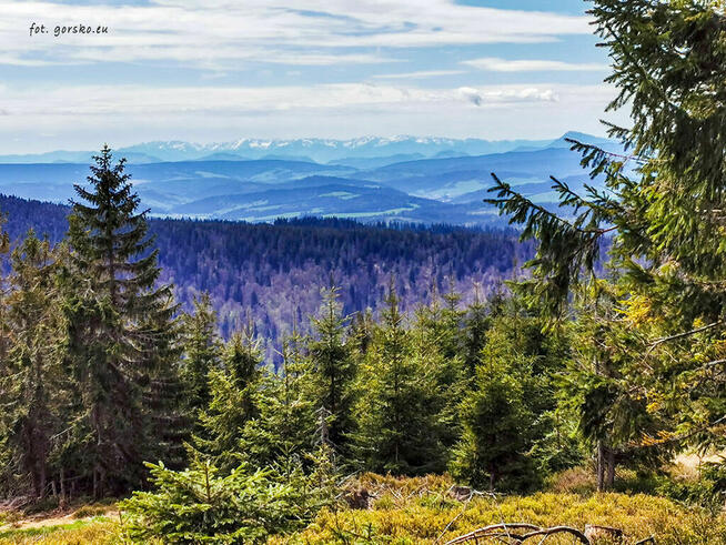Wynajmę domek w górach pod Romanką