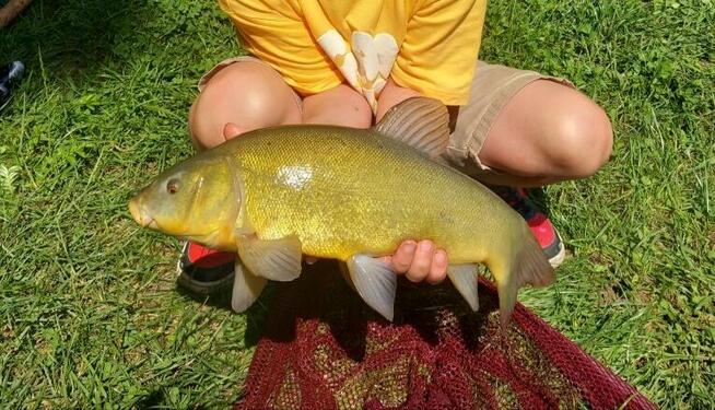 Linowa Przystań Wójcin Staw & Pole Biwakowe