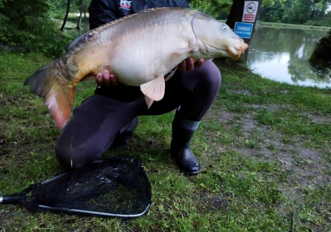 Linowa Przystań Wójcin Staw & Pole Biwakowe