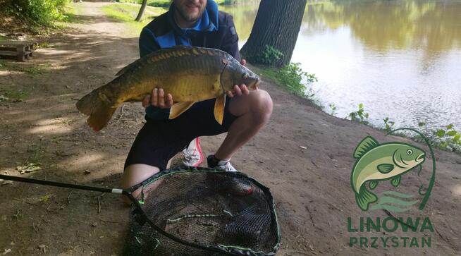 Linowa Przystań Wójcin Staw & Pole Biwakowe