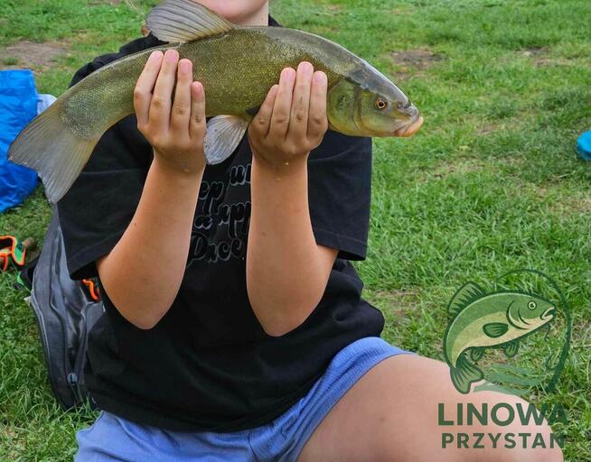 Linowa Przystań Wójcin Staw & Pole Biwakowe