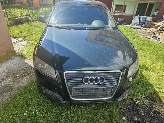 Audi a3 8p lift