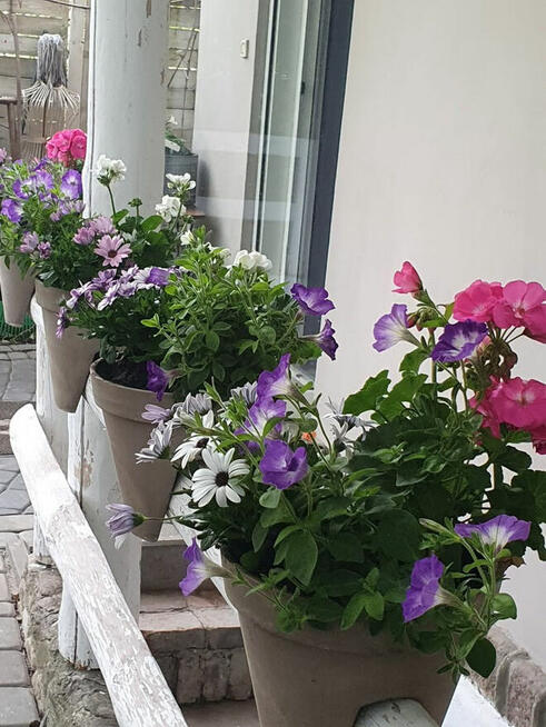 sprzedam prawo do uzytkowania atrakcyjnej działki ROD Poznań