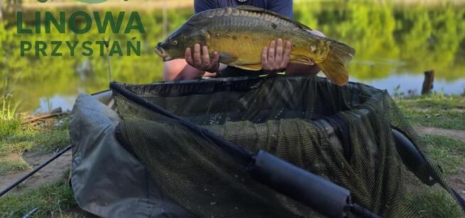 Linowa Przystań Wójcin Staw & Pole Biwakowe