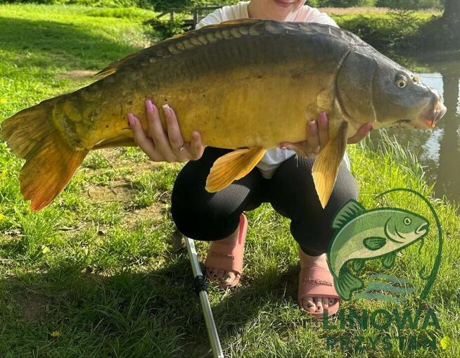 Linowa Przystań Wójcin Staw & Pole Biwakowe