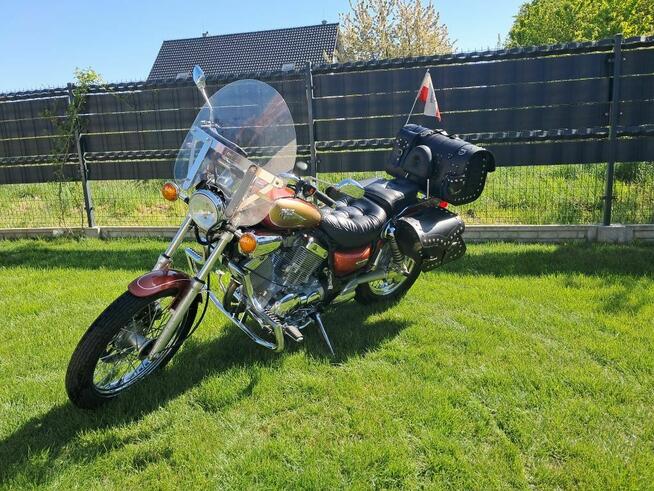 Yamaha virago 535 okazja