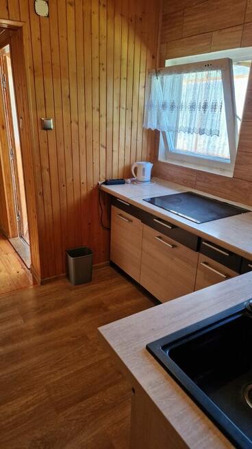 domek letniskowy w lesie na Czekance