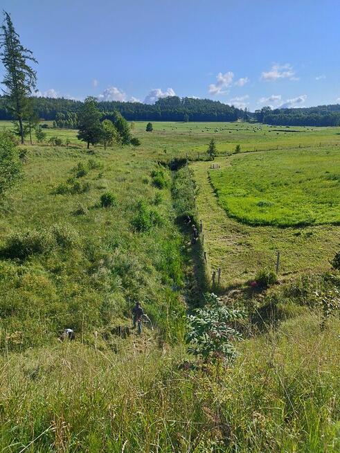 Pielęgnacja zieleni, koszenie trawy, prace ogrodnicze