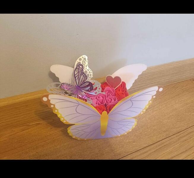 Box - motyl kwiatowy