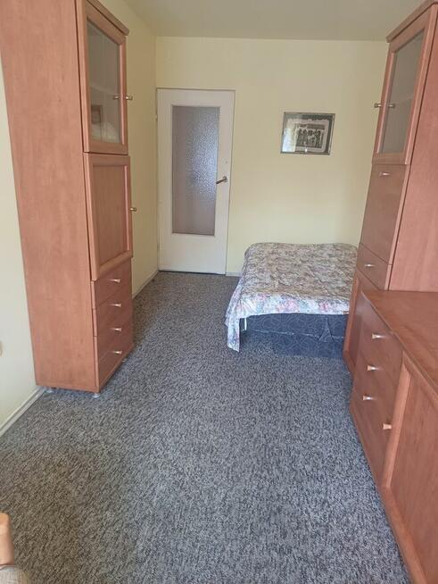 Kawalerka w Pszczynie